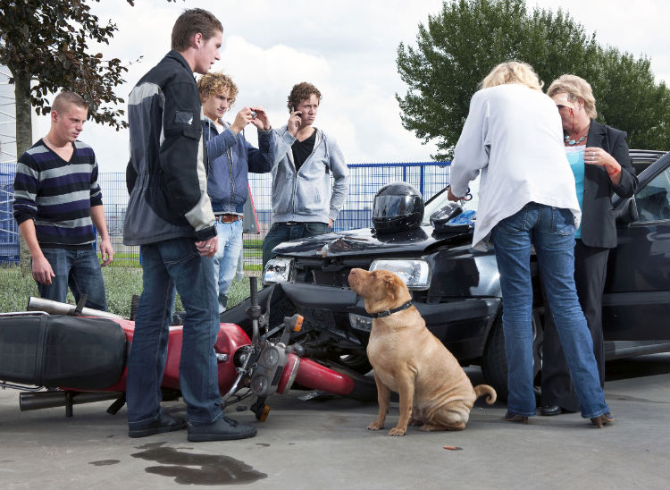 Good Reasons to Hire an Auto Accident Lawyer in Olympia, WA